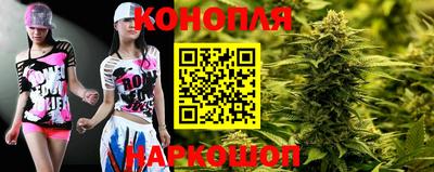 спиды Будённовск
