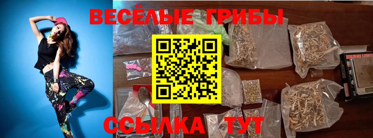 Псилоцибиновые грибы Cubensis Тутаев