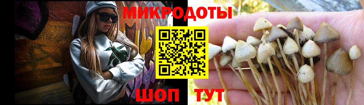 Тутаев  как найти наркотики  Вход с VPN  Псилоцибиновые грибы Psilocybe 